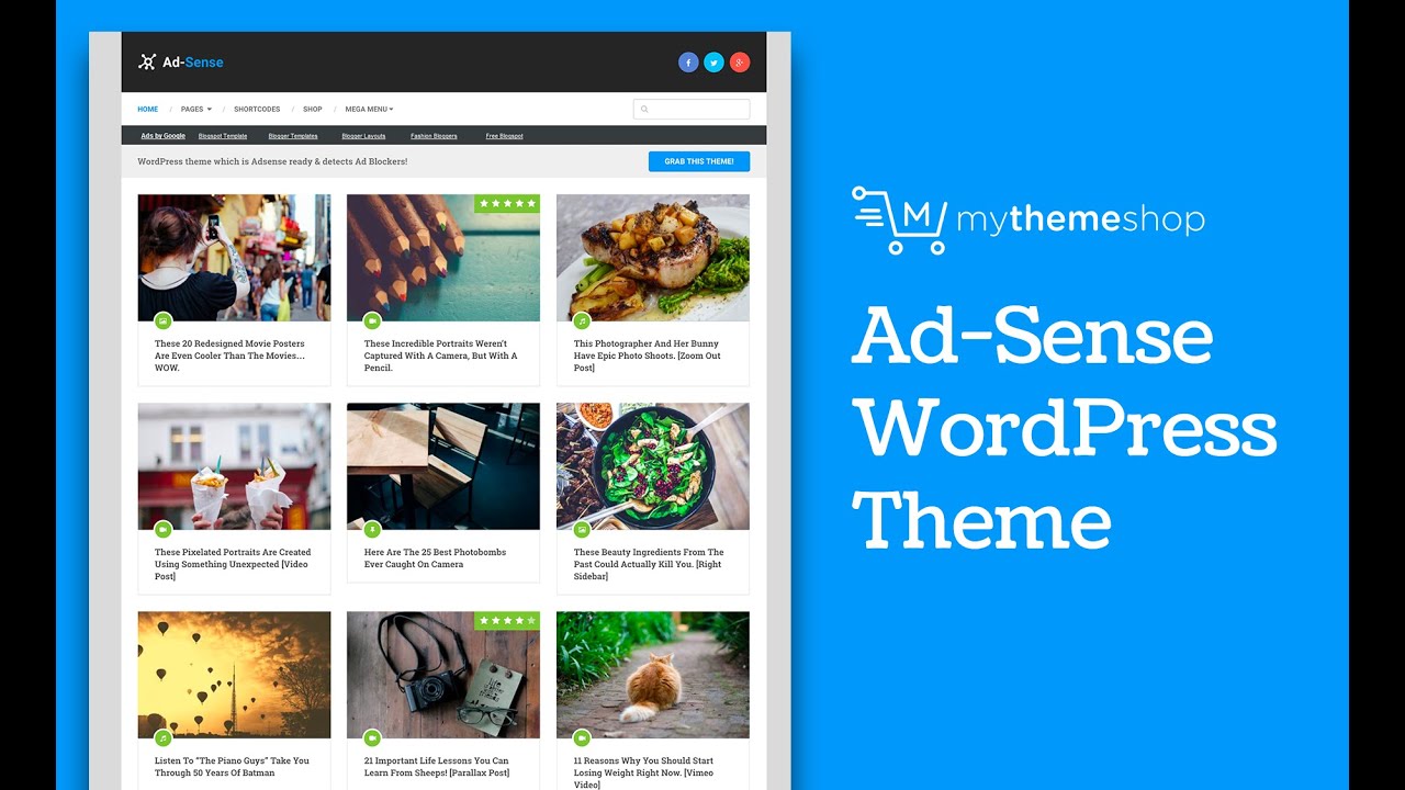 Adsense-optimizovane-teme-1