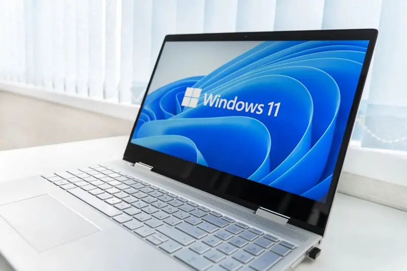 Windows 11