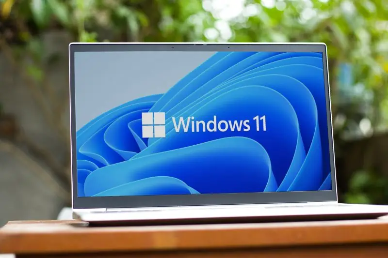 Windows 11