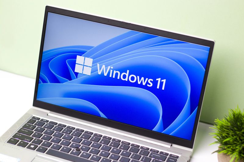 Windows 11