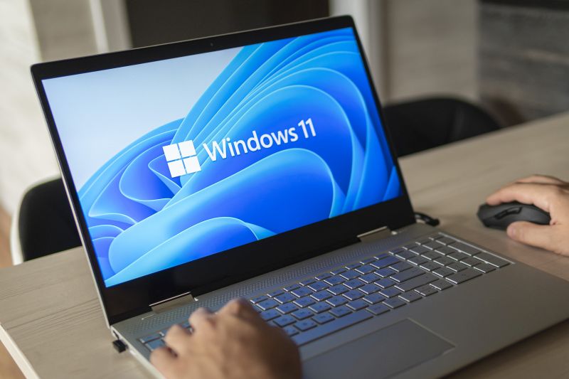Windows 11