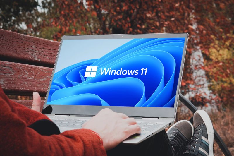 Windows 11