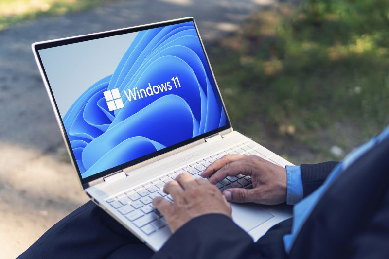 Windows 11